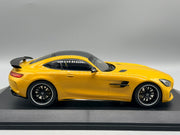 Modellautos 1:18 Minichamps Mercedes-Benz AMG GT R 2017 mit OVP
