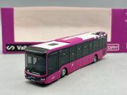 Bus Modell 1:87 Rietze MAN Lions Intercity LE mit OVP