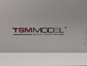 Model Cars 1:18 TSM Bentley Continental GT3 Goodwood 2013 #7 with original packaging