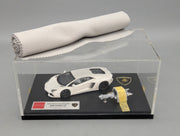 Eidolon Make Up 1:43 Lamborghini Aventador LP700-4 Matt Pearl White Engine Set OVP
