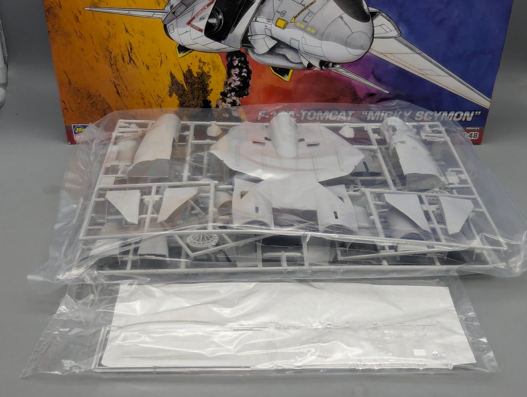 Flugzeug Modell Bausatz 1:48 Hasegawa 64744 F-14A Tomcat Micky Scymon mit OVP