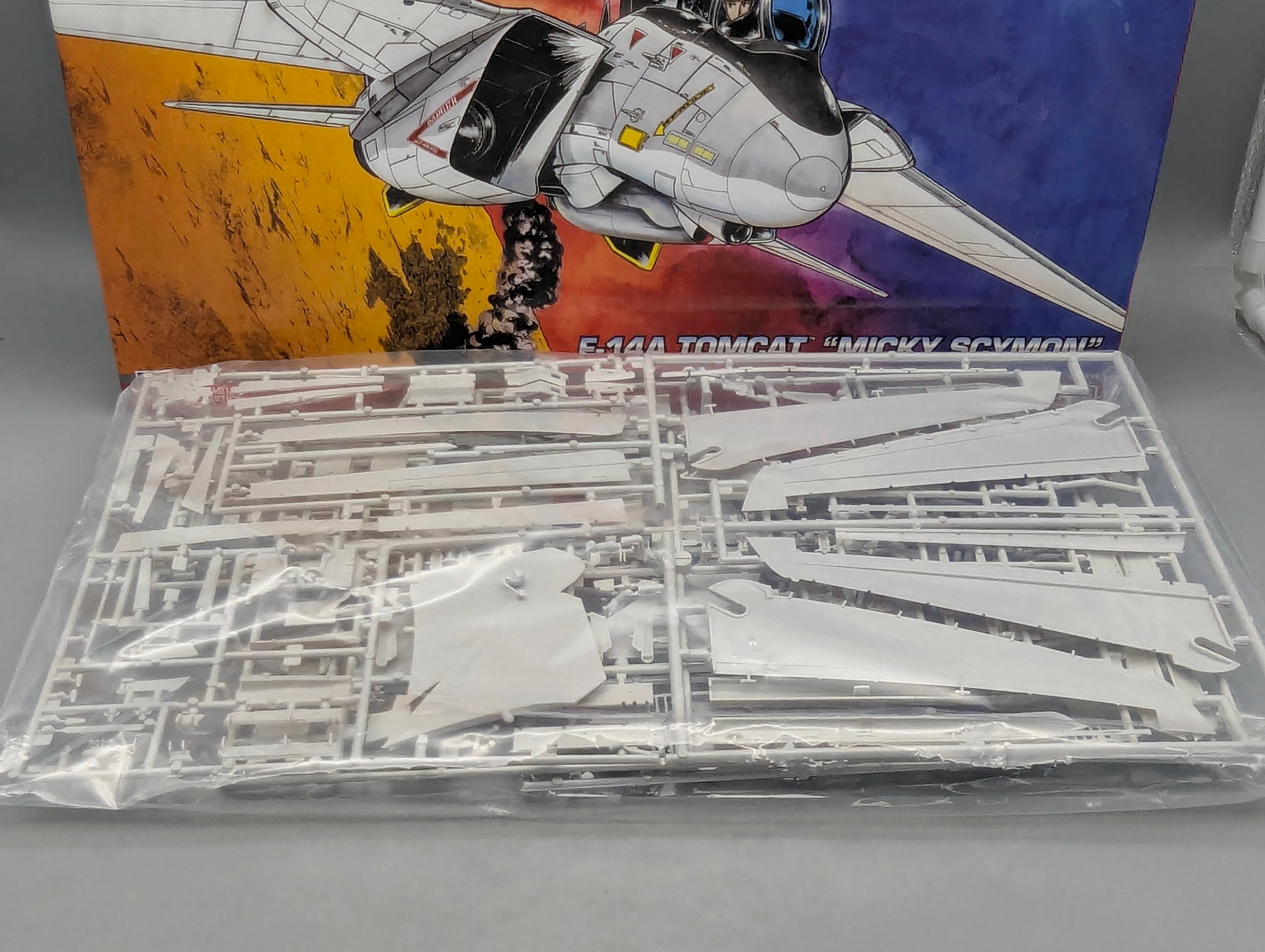 Flugzeug Modell Bausatz 1:48 Hasegawa 64744 F-14A Tomcat Micky Scymon mit OVP