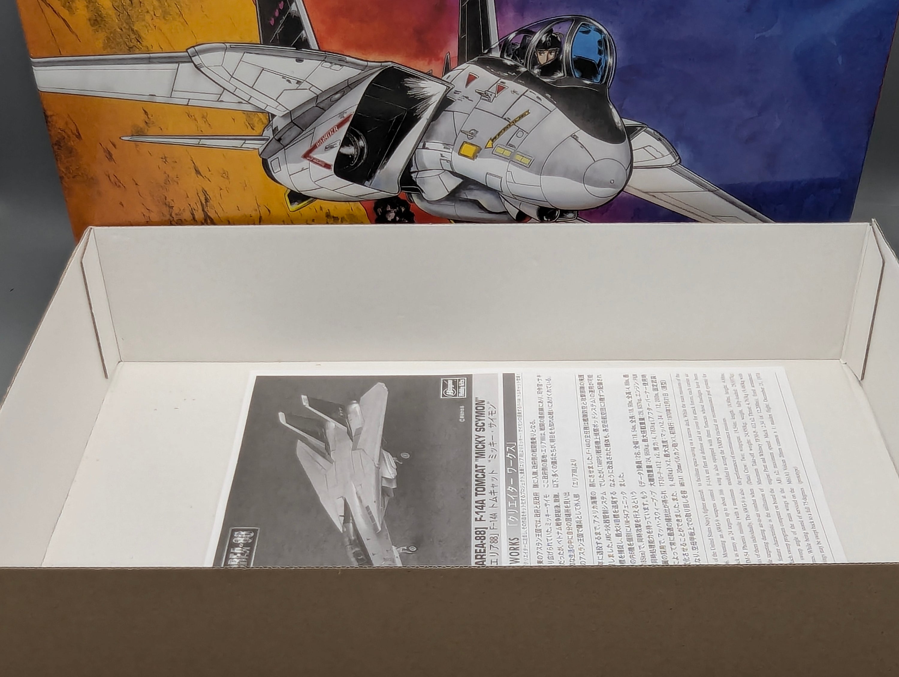 Flugzeug Modell Bausatz 1:48 Hasegawa 64744 F-14A Tomcat Micky Scymon mit OVP