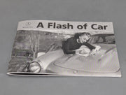 Modellautos 1:43 Minichamps Mercedes-Benz 300 SL Gullwing A Flash of Car Dealer OVP