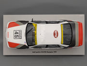 Modellautos 1:18 Werk83 Audi Quattro #V8 DTM Champion 1991 #45 F. Biela mit OVP