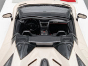 Eidolon Make Up 1:43 Lamborghini Aventador SVJ Roadster 2019 Limited 53/80 OVP