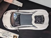 Eidolon Make Up 1:43 Lamborghini Aventador LP760-2 Engine Set Oakley Weiß OVP