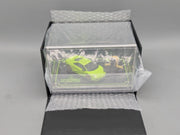 Modellautos 1:43 MR Collection Lamborghini Reventon Engine Set Ltd 19/20 in OVP