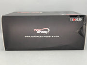Modellautos 1:18 TrueScale Top Speed Acura ARX-05 DPi  24h Daytona 2021 #60 OVP