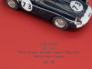 Modellautos 1:43 BBR Ferrari 250 GTO WINNER BH 1962 Ltd 01/05 #73 Parkes mit OVP