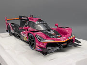 Modellautos 1:18 TrueScale Top Speed Acura ARX-05 DPi  24h Daytona 2021 #60 OVP